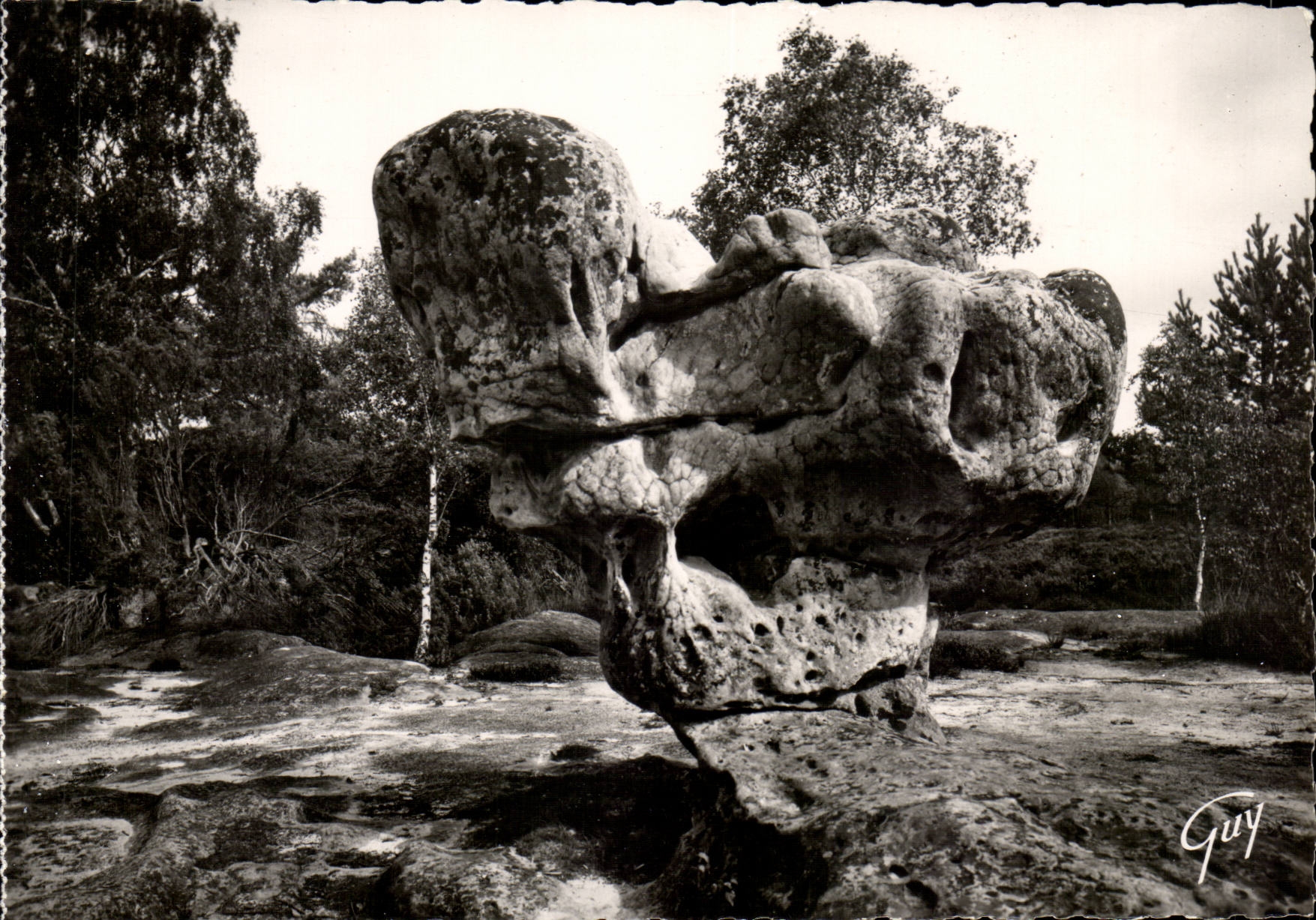 Fontaineableau MODERN CARD the sphinx of druides has Franchard