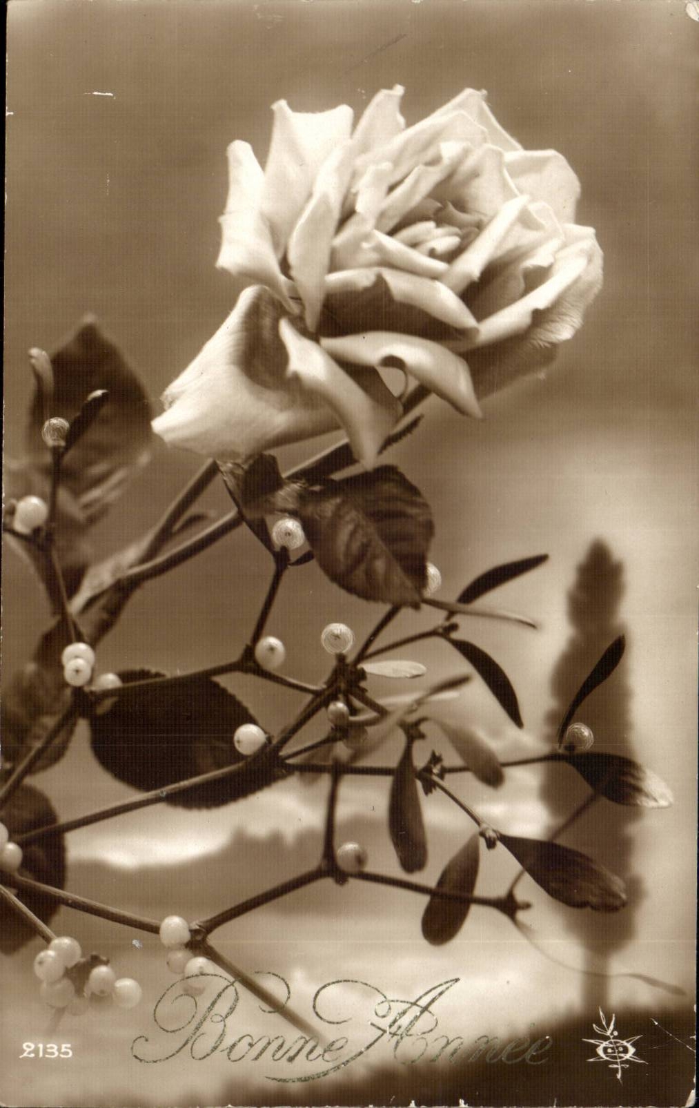 CPA FAntaisie Fleur Rose Bonne anne