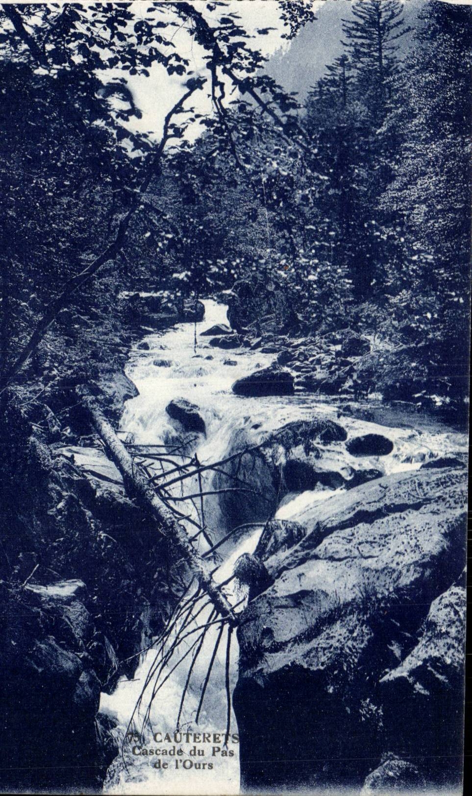 Cauterets CPA die Kaskade des Schrittes des Baren (Bar)