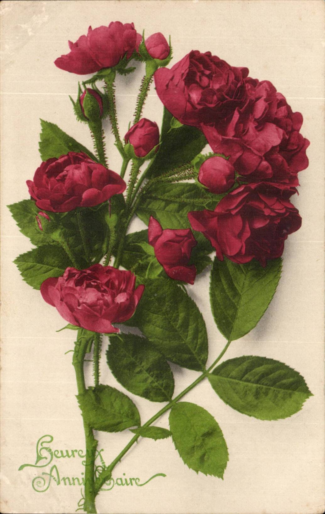 CPA Fantasy Happy Flowers birthday Roses