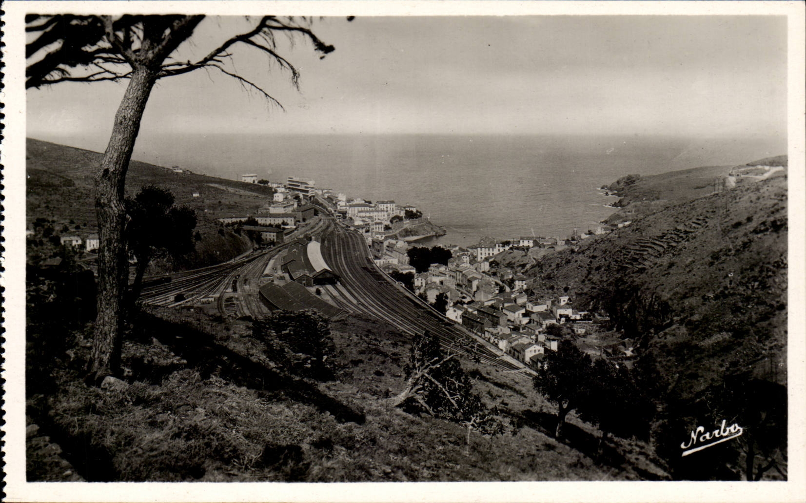 Cerbere - Panoramic View - CPA