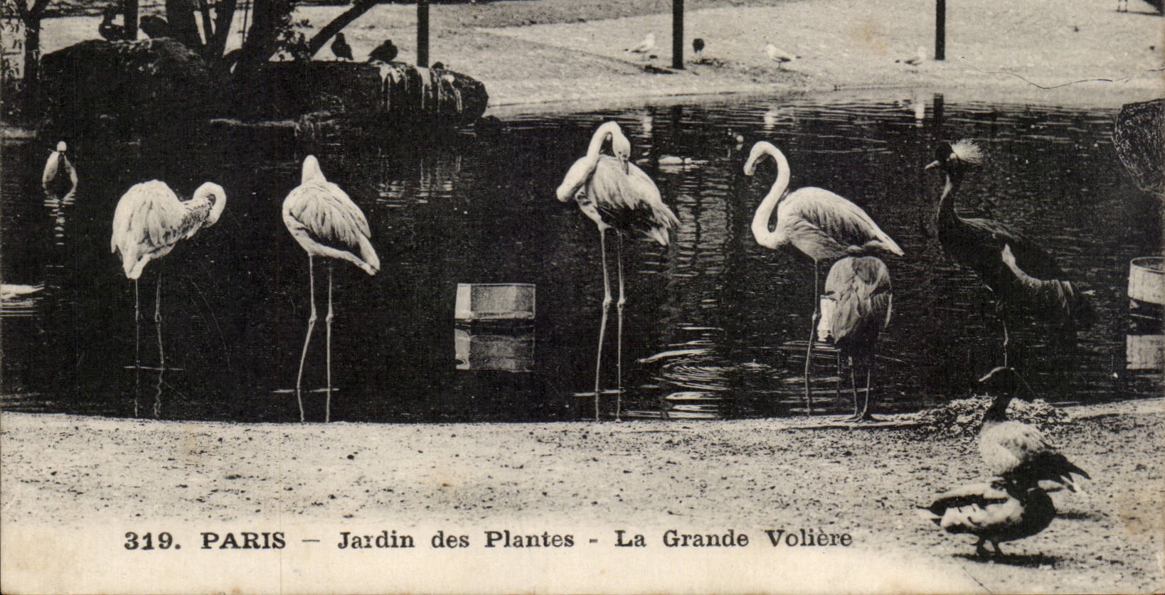 Paris - 5 - Botanical garden - the Large Birdcage - CPA