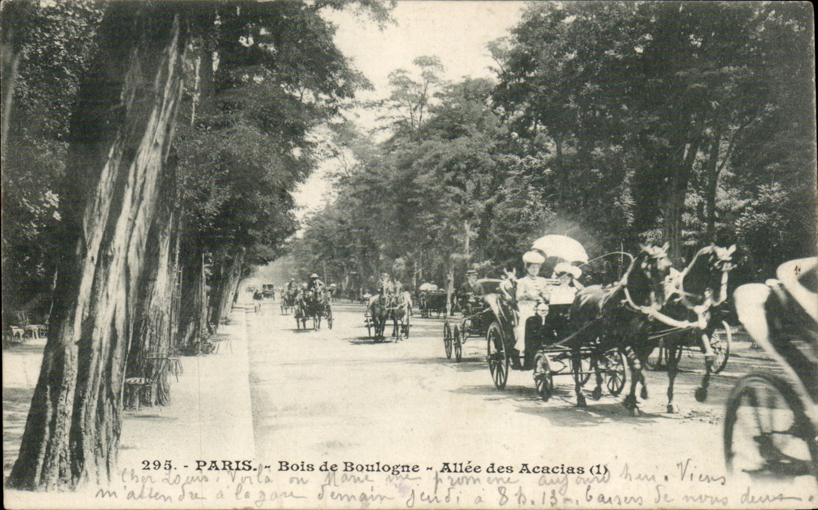 Paris - 16 - Wood of Boulogne - Allee of Arcacias - CPA