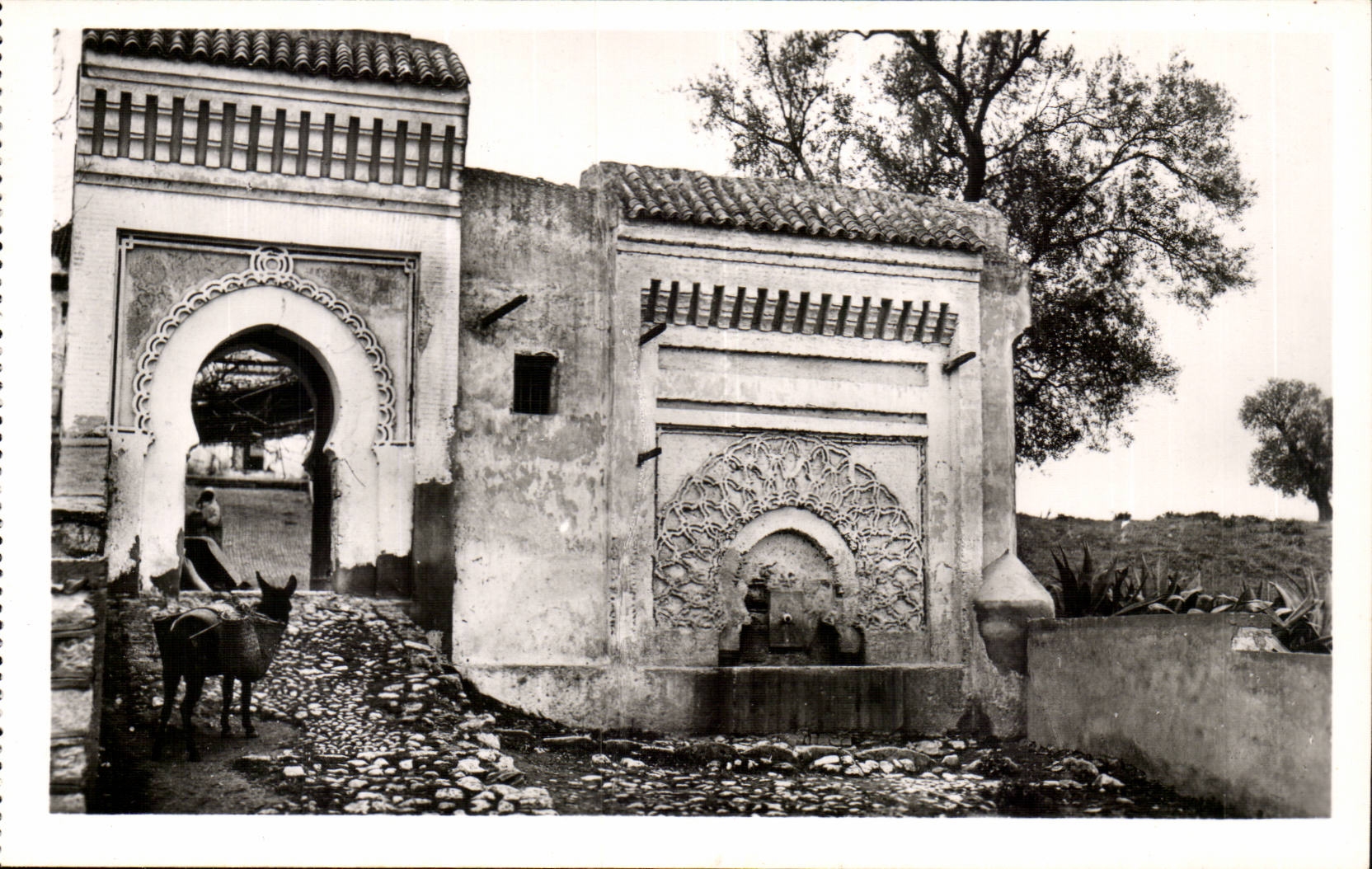Africa - Africa - Morocco - Morocco - Meknes - Fountain and Gate on the Walls - ass - donkey - CPA