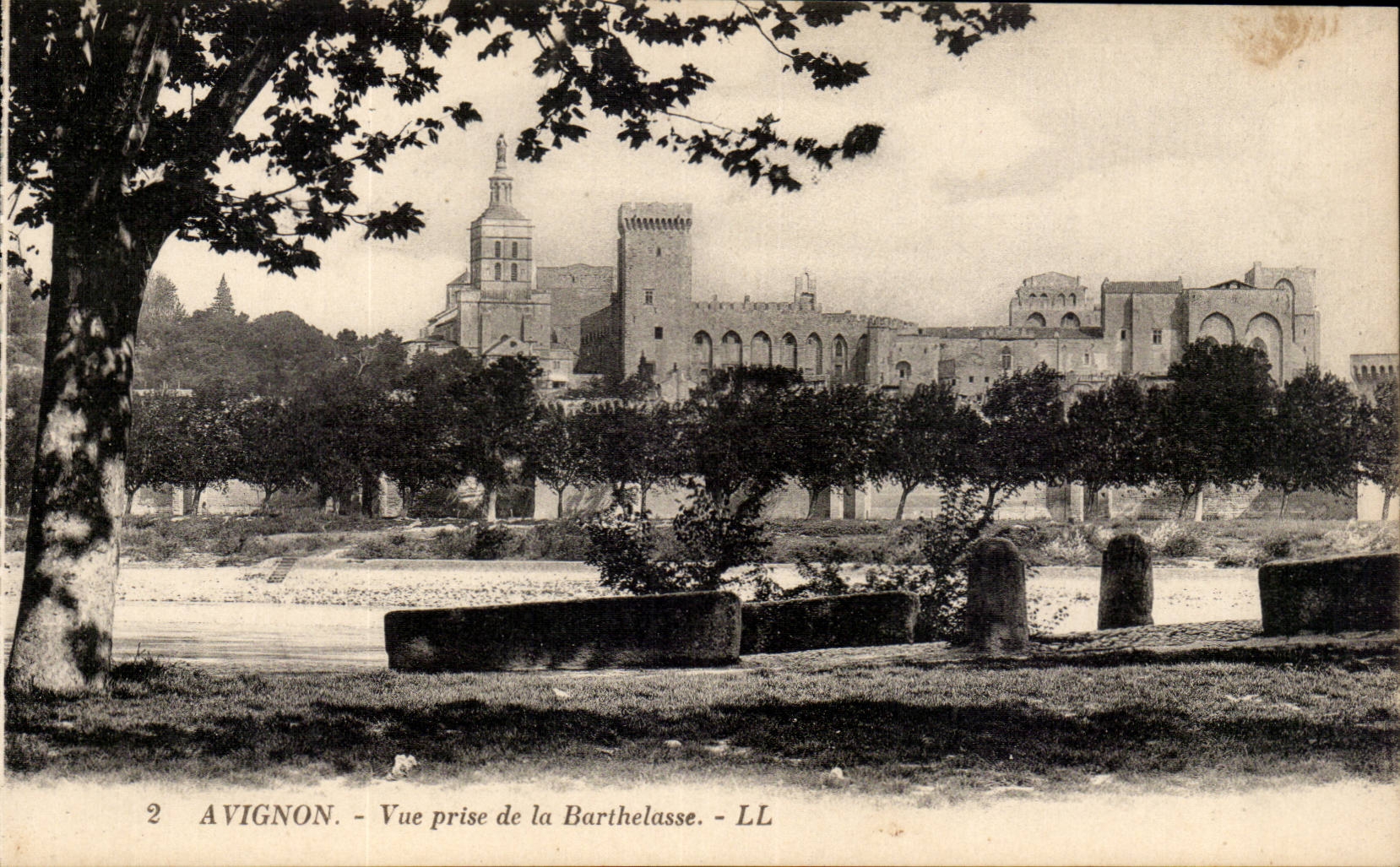 Avignon - gesehen von Barthelasse - CPA