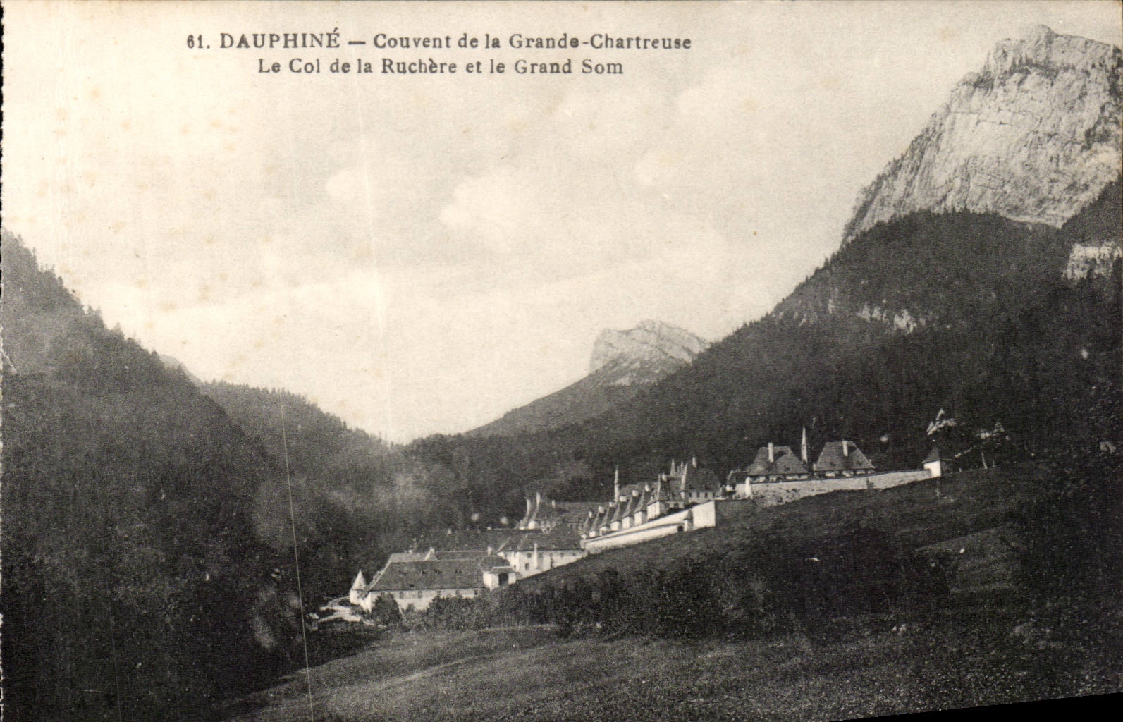 Grosser chartreuse Kragen Brut der Dauphine-CPA von Ruchere und grosses Som