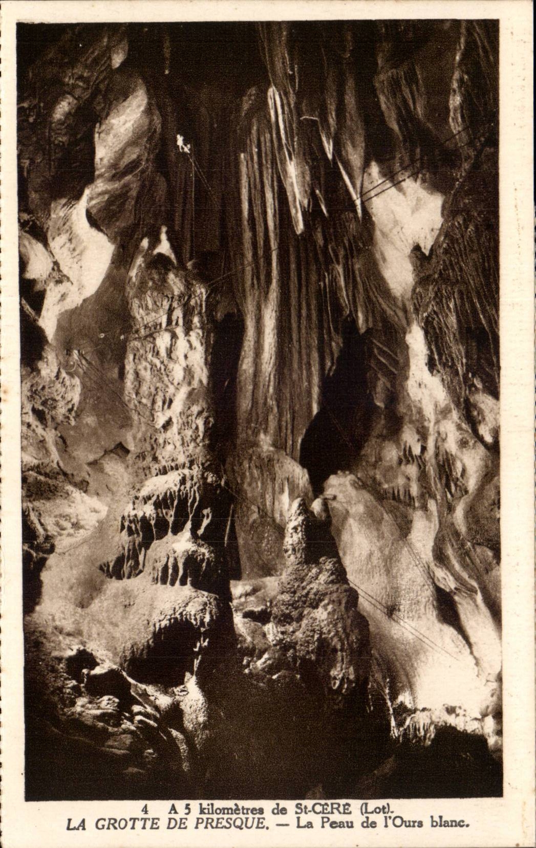 CPA a 5 km de Saint Cere La peau de l'ours blanc (bear)