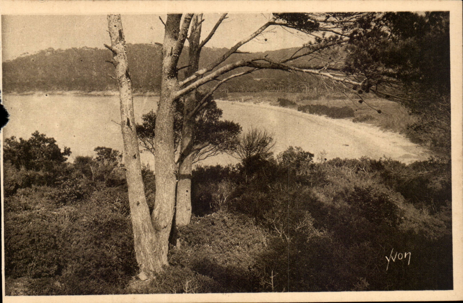 CPA Les iles d'Hyeres Porquerolles La grande plage
