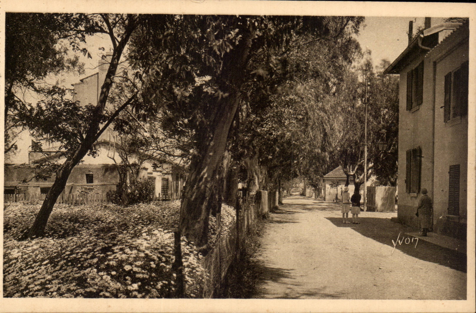 CPA Les iles d'Hyeres Porquerolles La rue principale