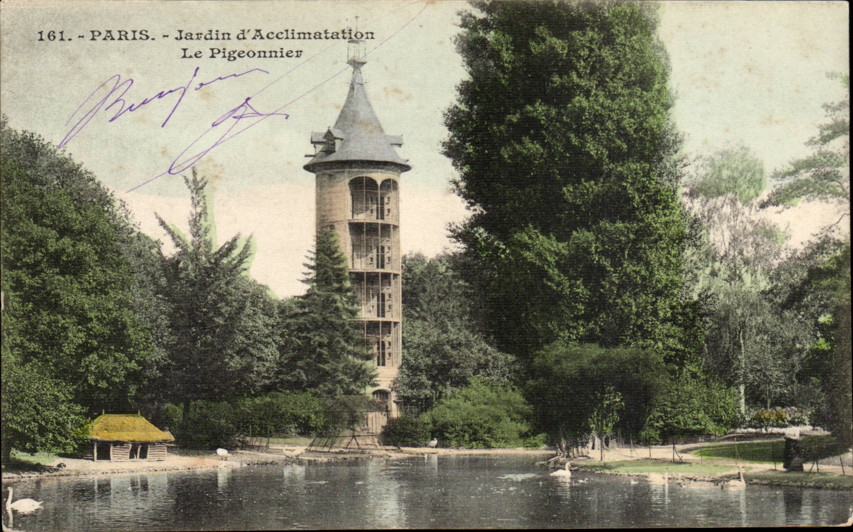 Paris CPA Zoological gardens the pigeon one (pigeon)