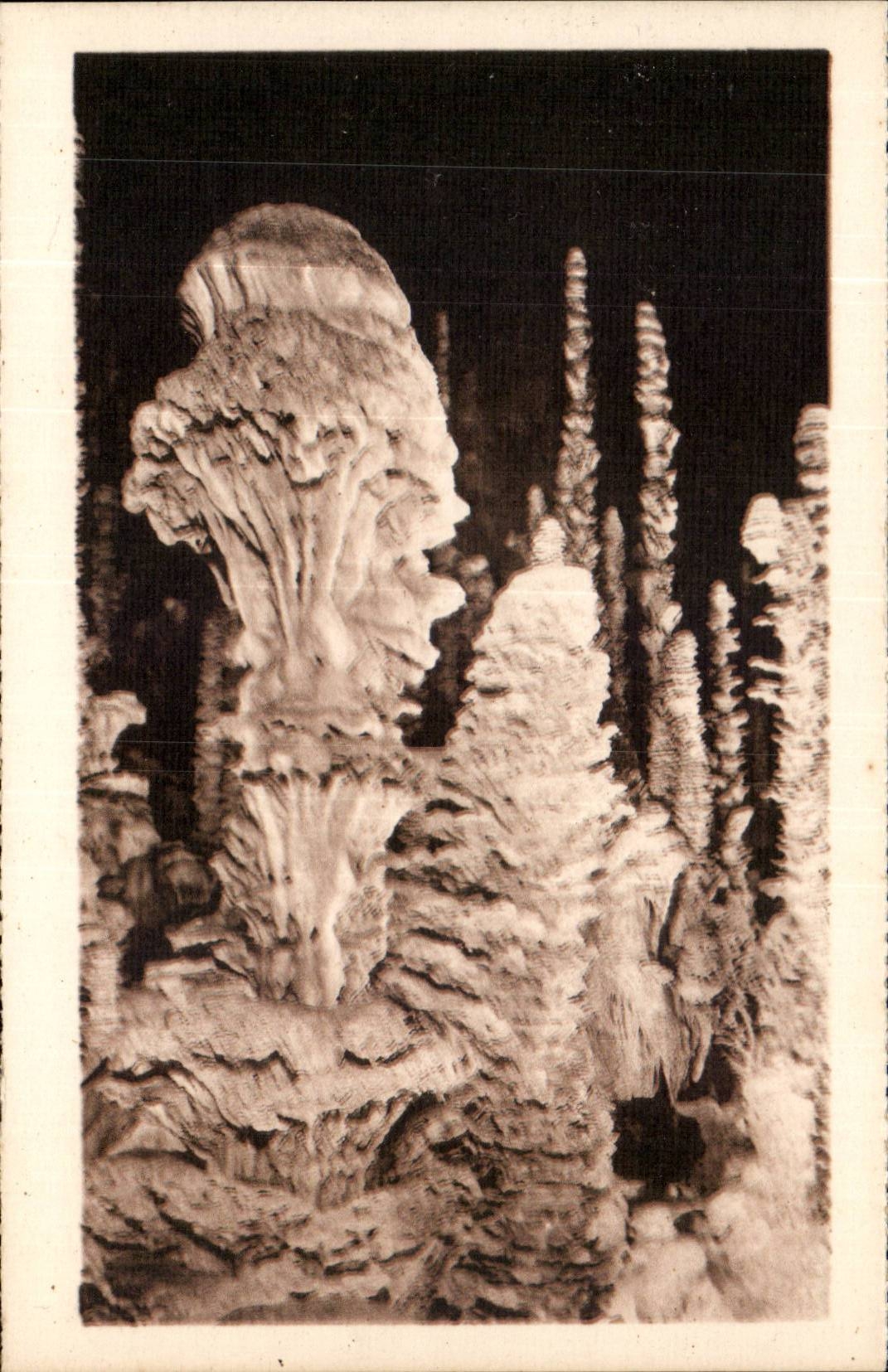 CPA das Schlucken-Loch Armand im reinen Wald die Kohlblume