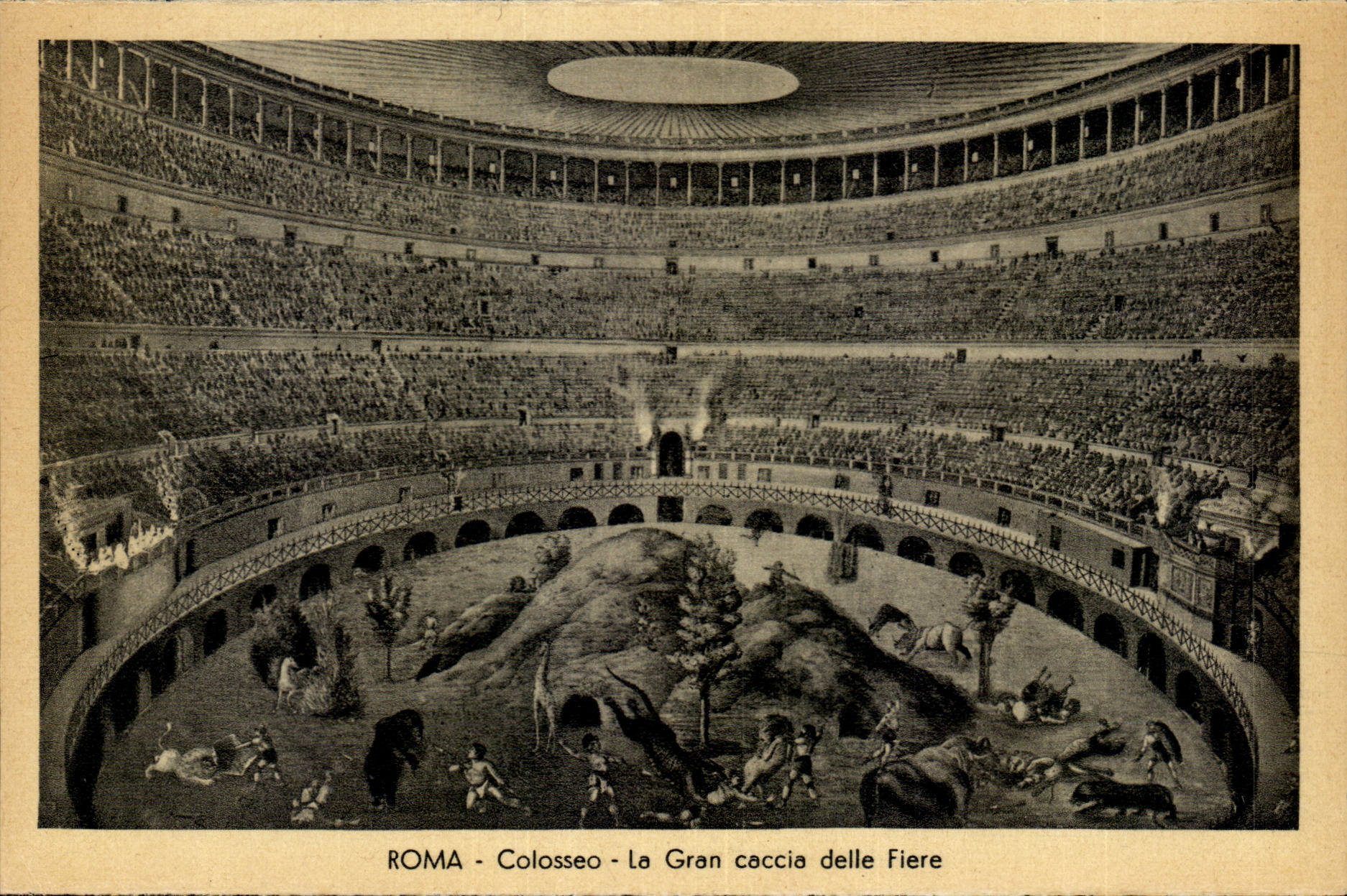 Italy Italia Roma CPA It Colosseo Gran caccia beyond Proud