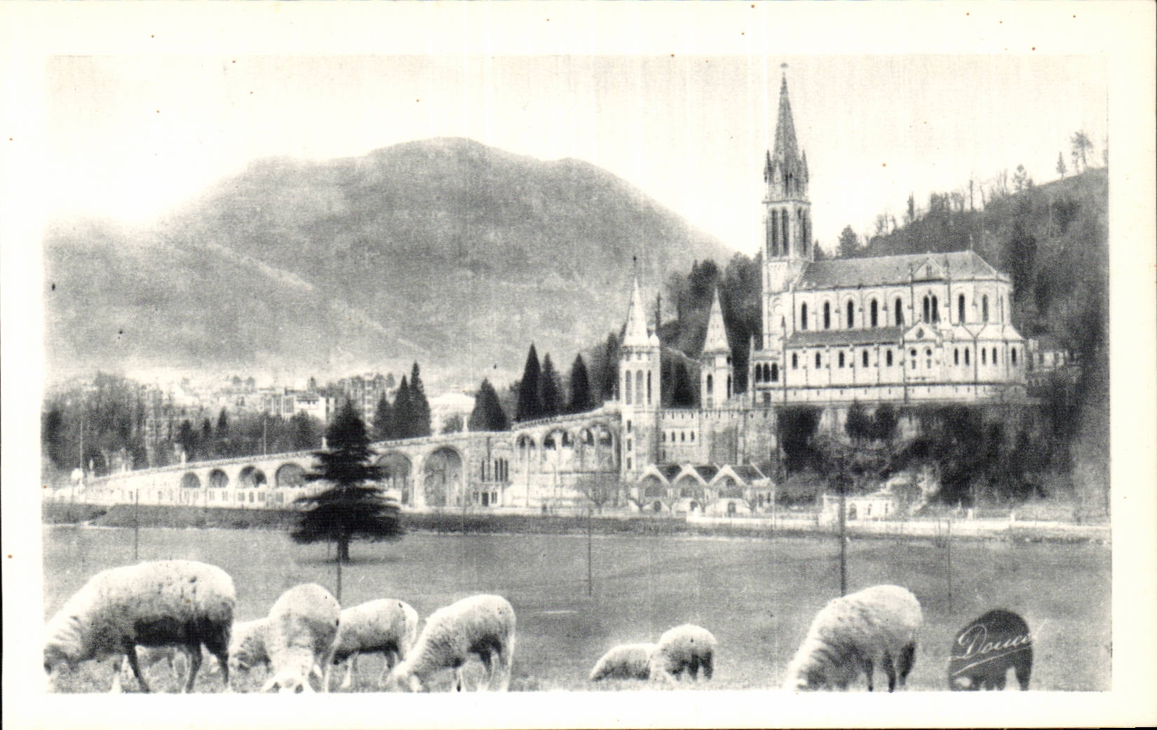 Lourdes - the Basilica - sheep - sheep CPA