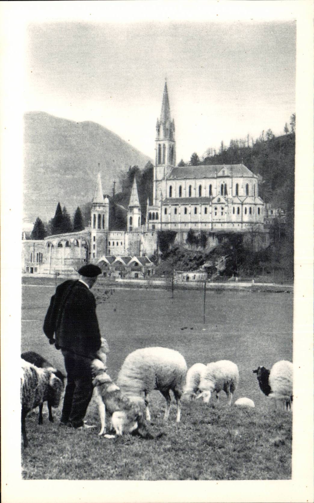 Lourdes - Basilica CPA