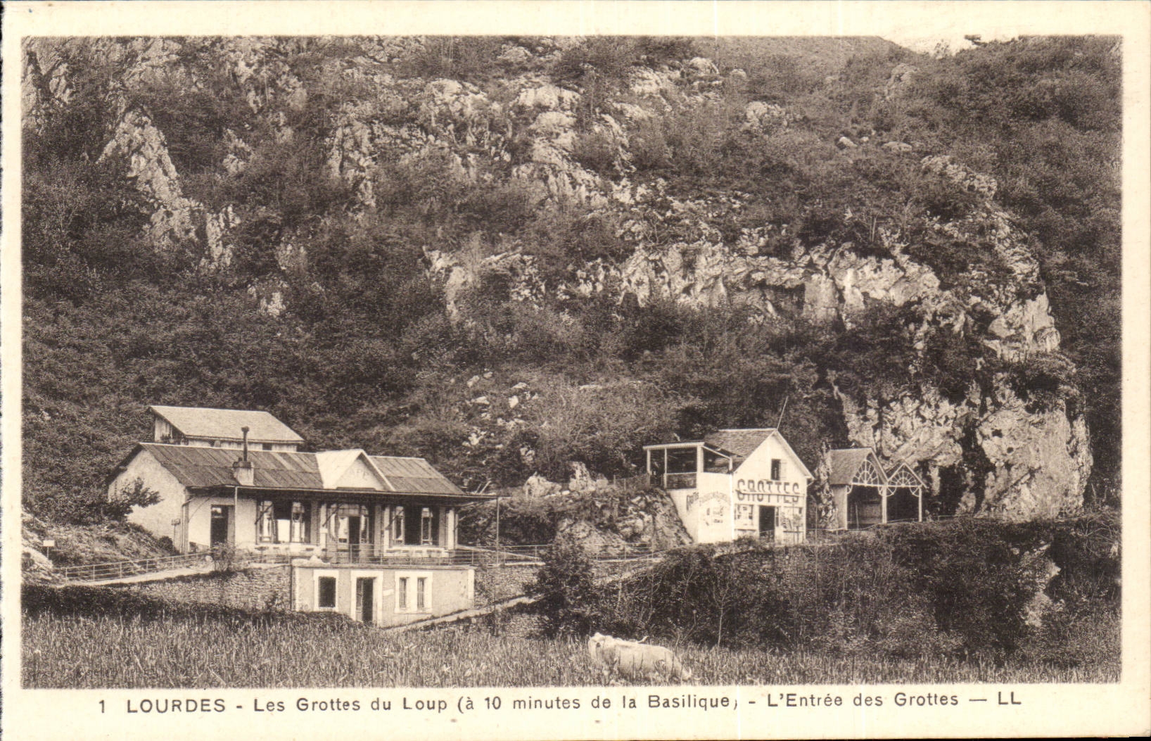 Lourdes - Caves of the Wolf - Entrance Caves CPA