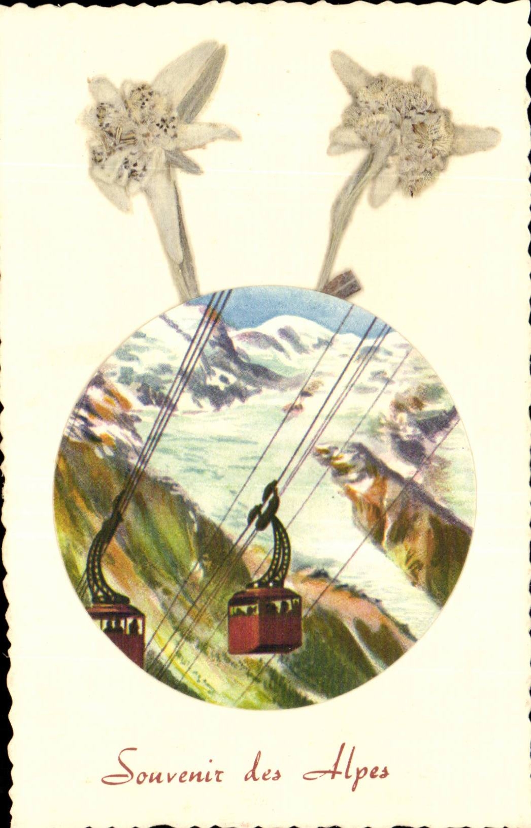 CPA Fantasy Souvenir of the Alps (teleferic flower)