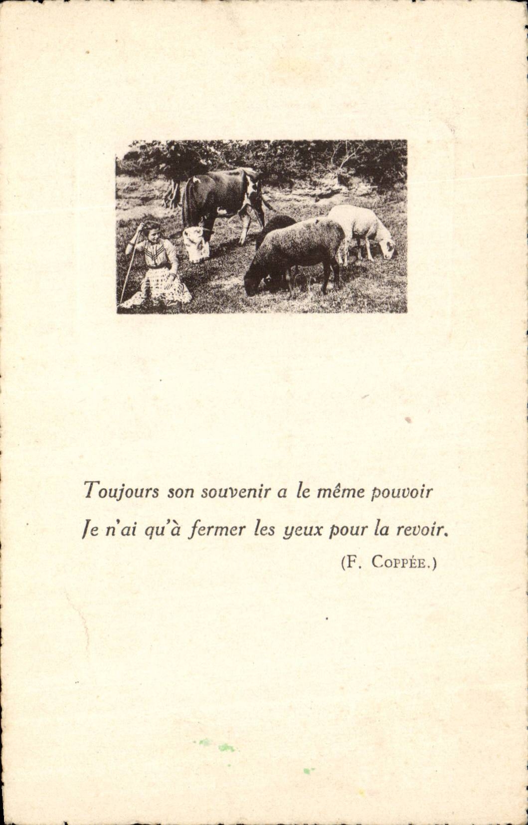 CPA Cows and sheep Breeding