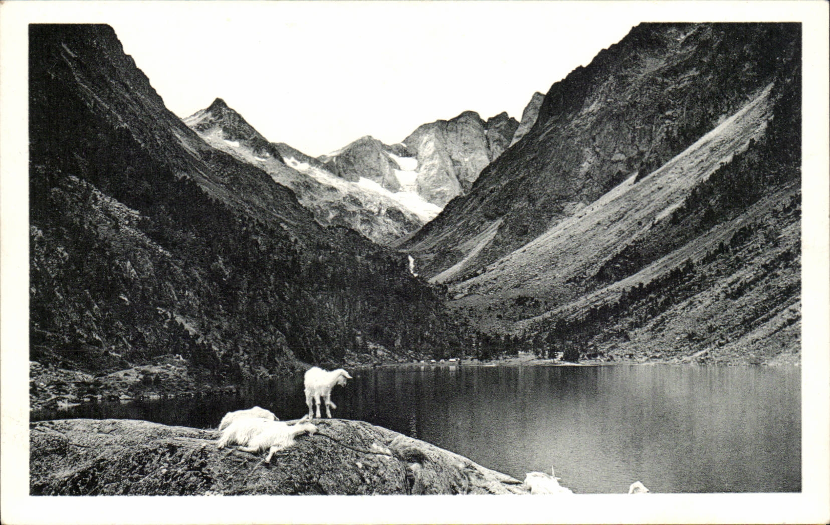 CPA CAuterets der See Gaube (Ziegeziege)