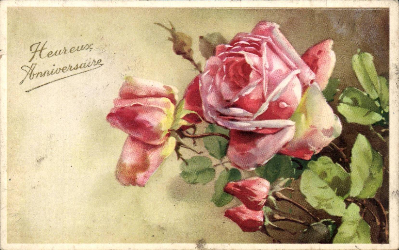 - Happy Birthday - Rose celebrates - CPA