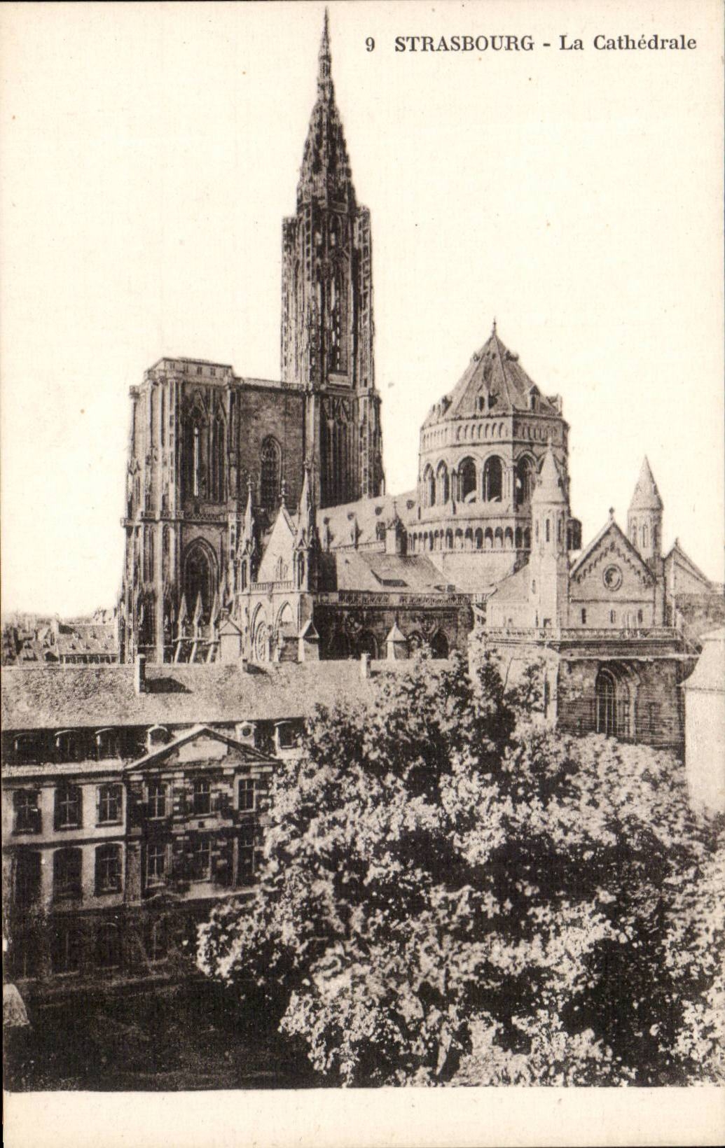 Strasbourg - Strassburg - the Cathedral - CPA