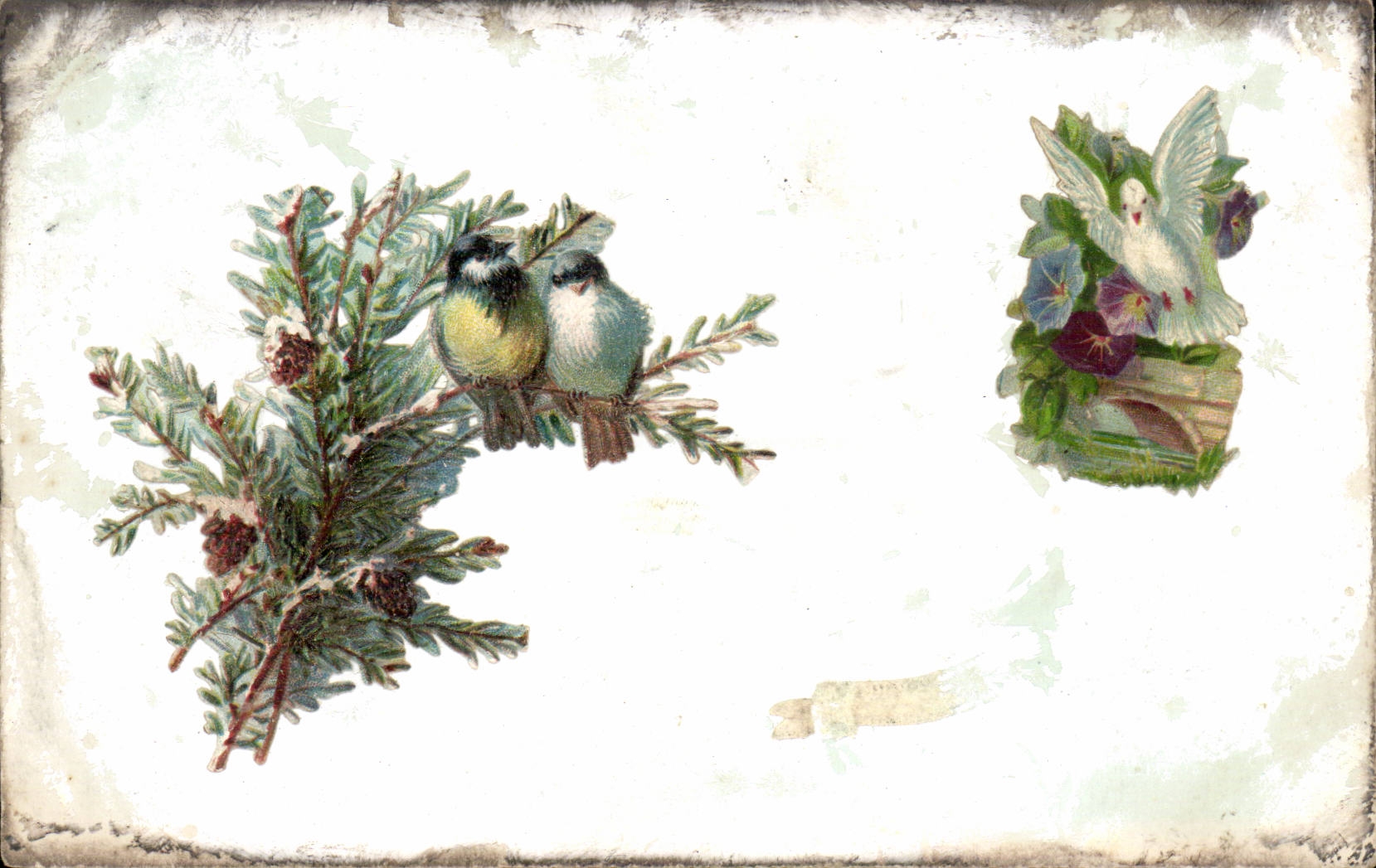 CPA Fantasy Birds in relief