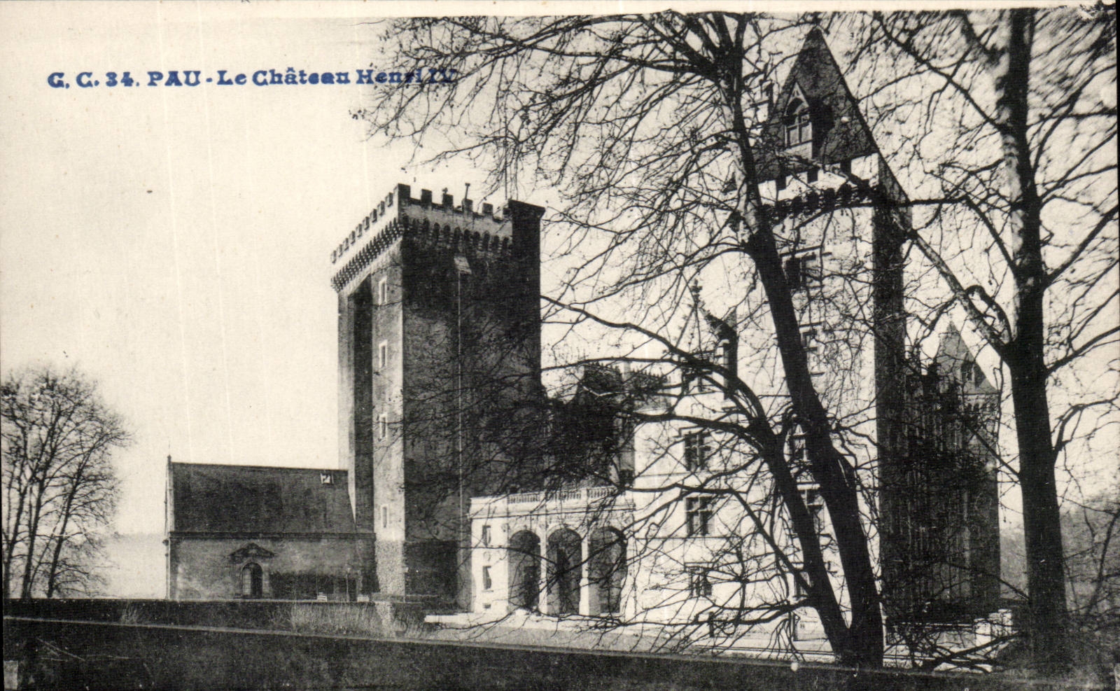 CPA Pau das Schloss Henri IV