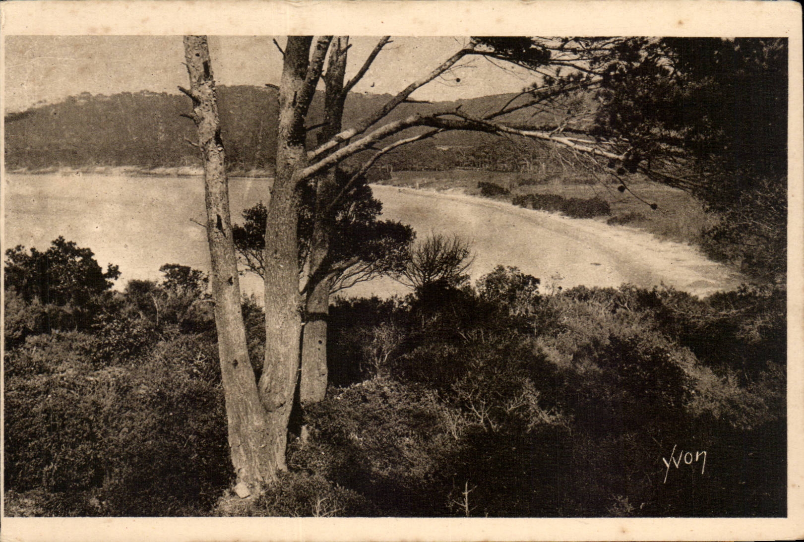 CPA Les iles d'Hyeres Porquerolles la grande plage