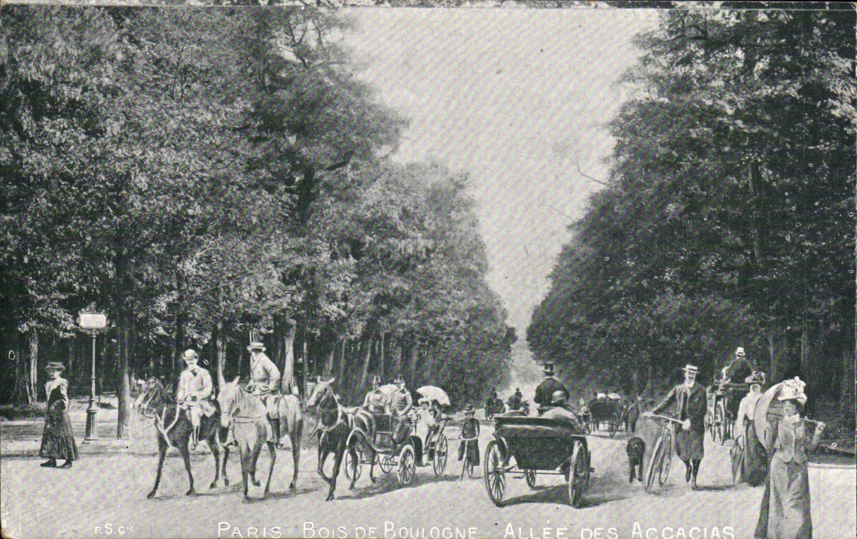 Paris CPA Bois de Boulogne Allees des acacias