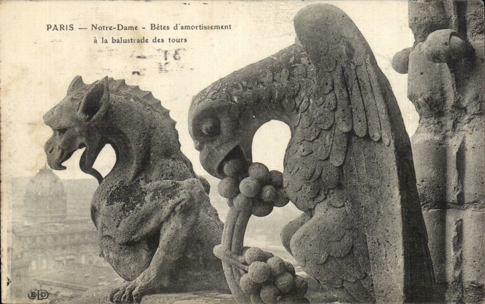 Paris CPA Notre Dame Betes d'amortissement a la balustrade des tours