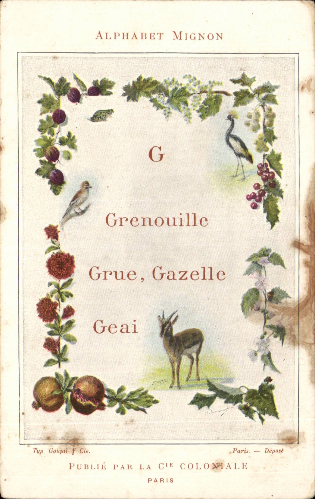 CPA Nice Alphabet Splashes Crane Gazelle Geai Compagnie colonial