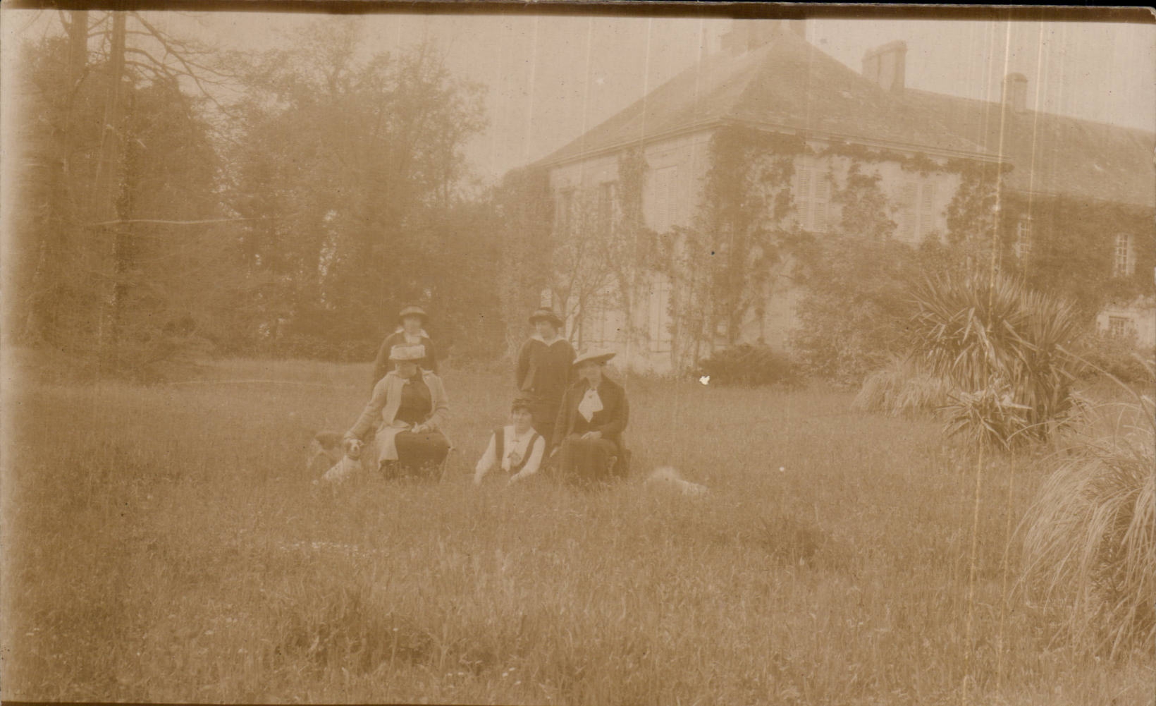 Real photo House and garden