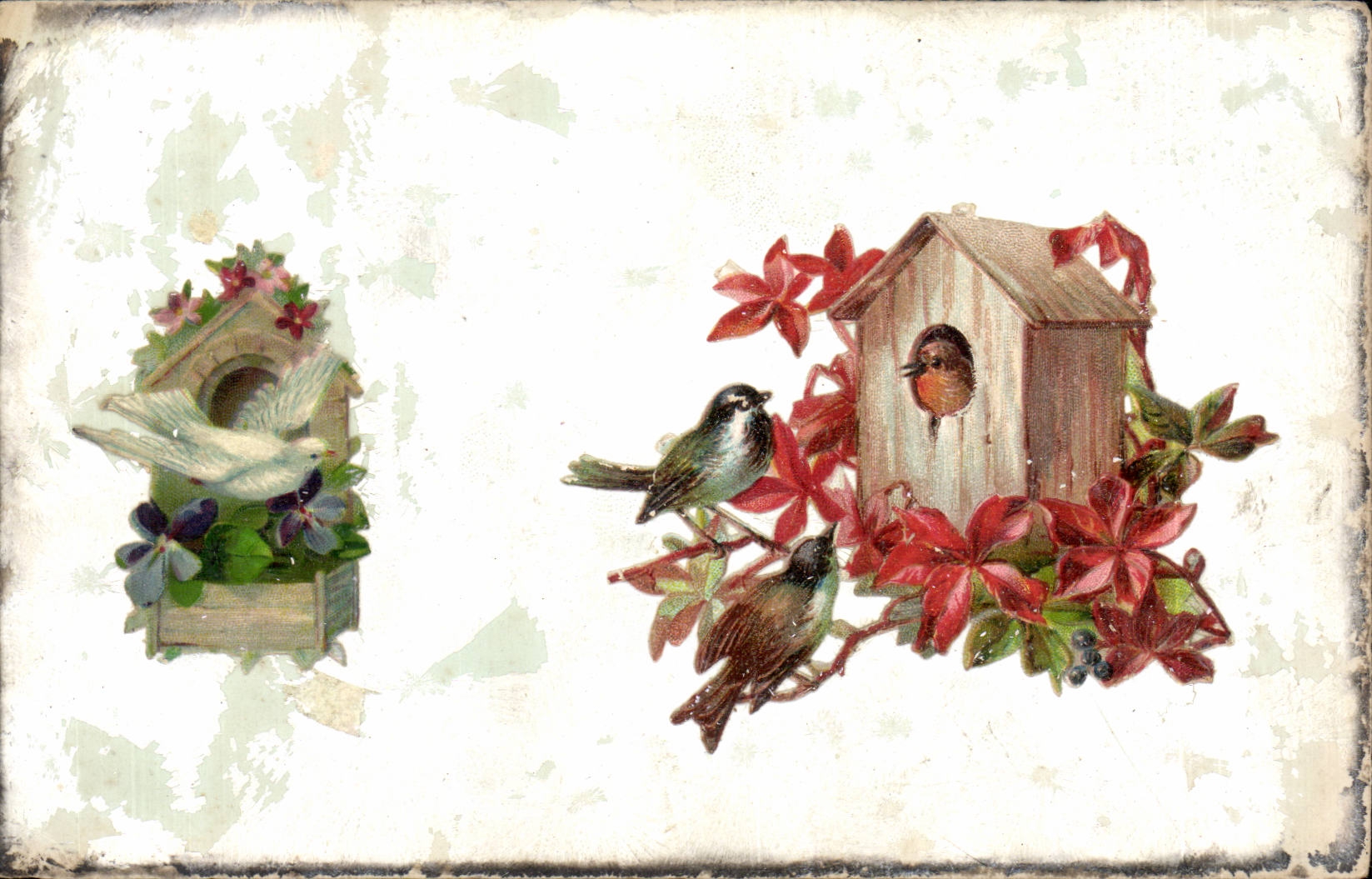 CPA Fantasy Birds Decoration in relief