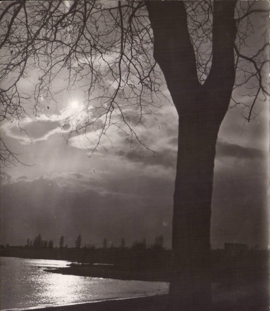 CPA Suisse Coucher de soleil sur le lac leman