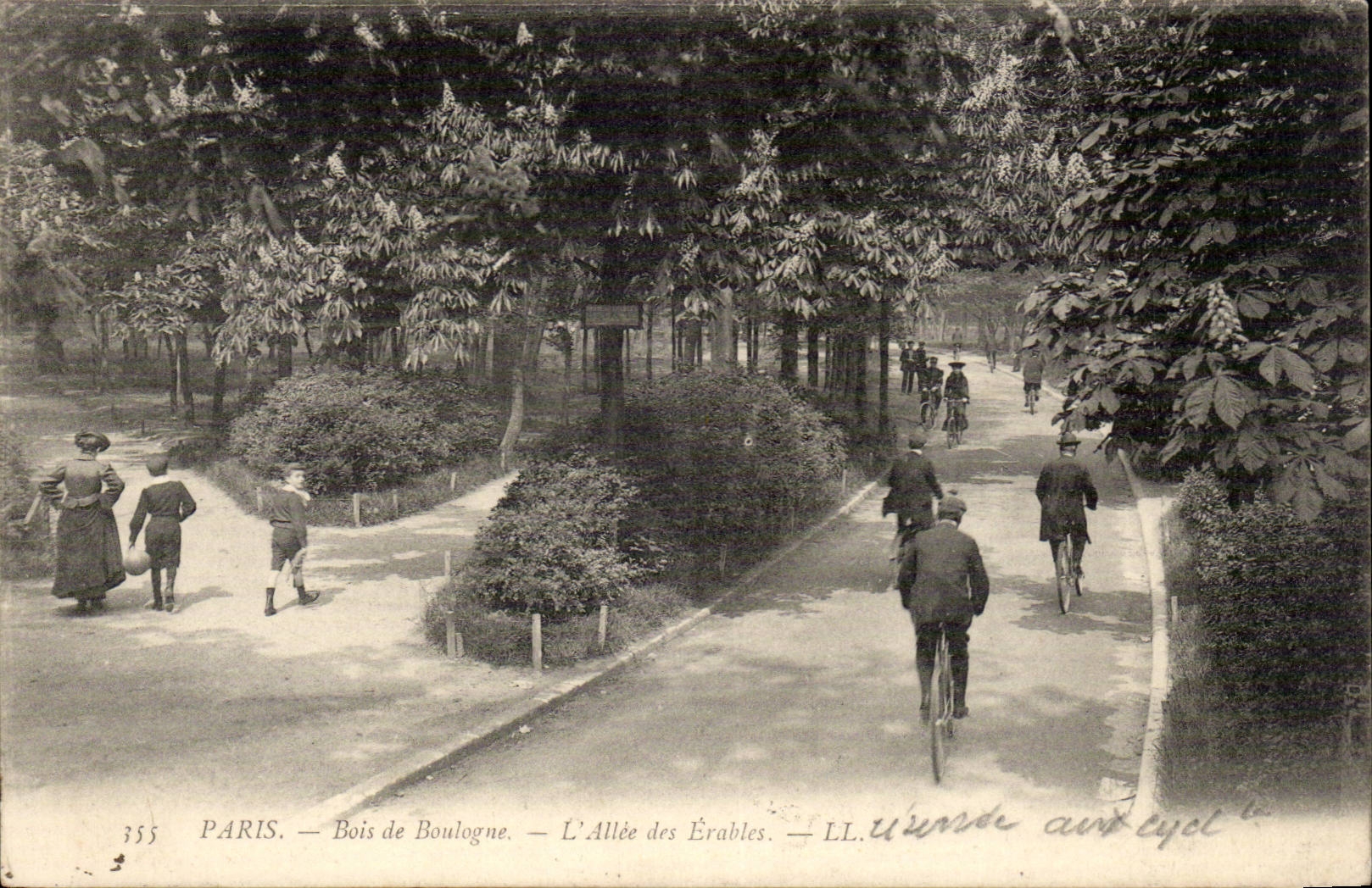 Paris CPA Bois de Boulogne L'allee des Erables ( velo cycle cycling )