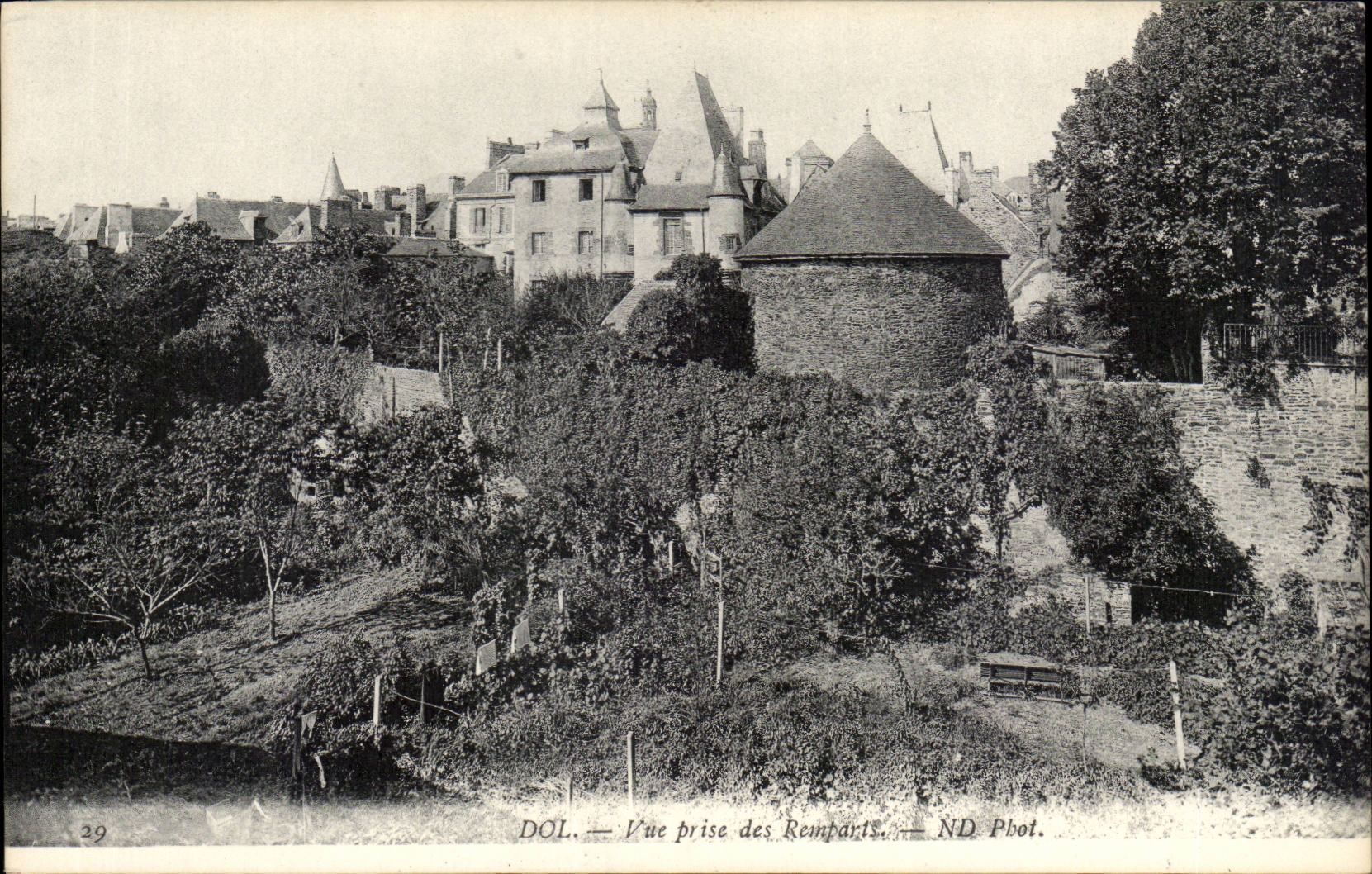 Fraud - Seen from of the Walls - CPA