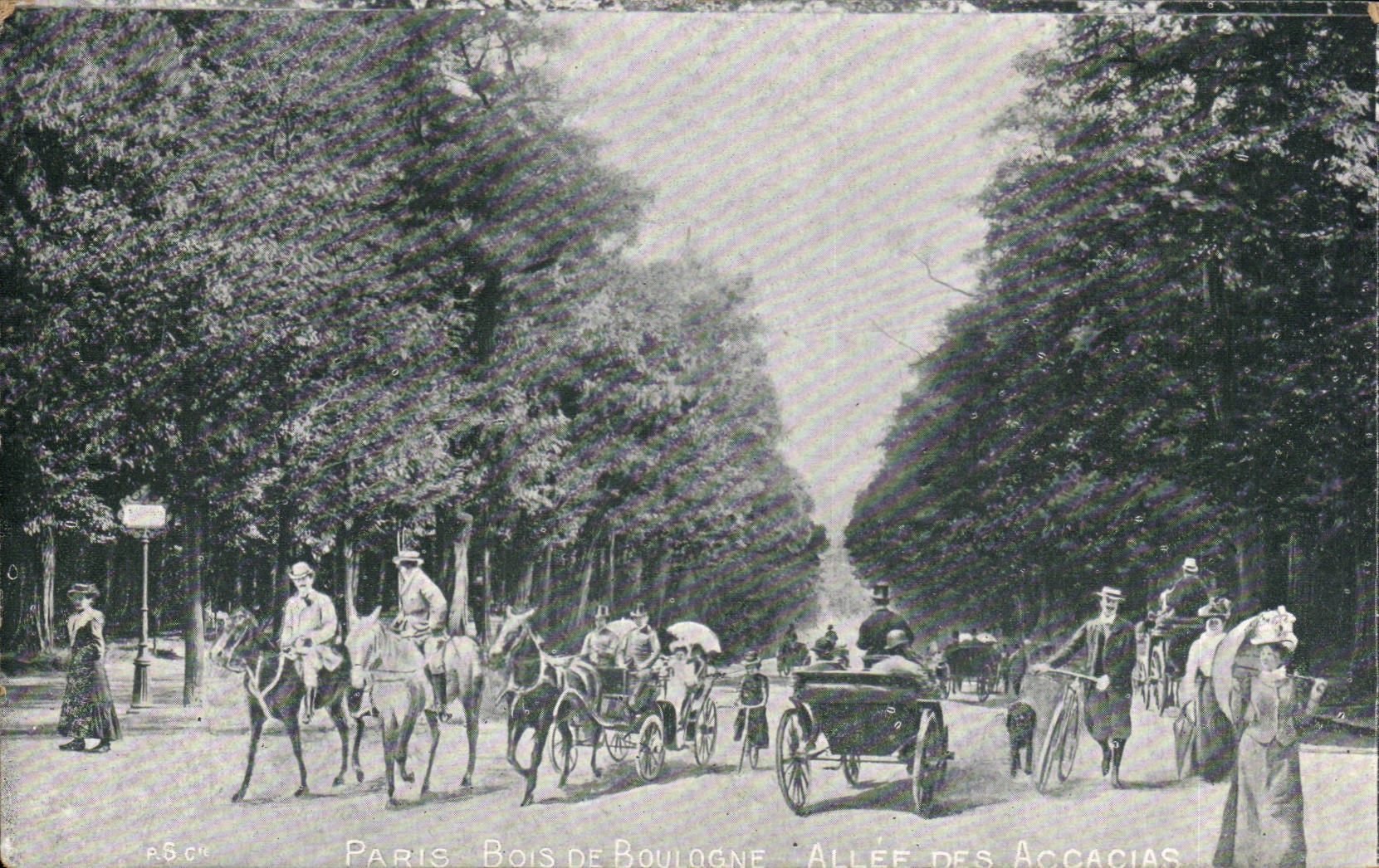 Paris - 16 - Bois de Boulogne - horse - bicycle - horse CPA