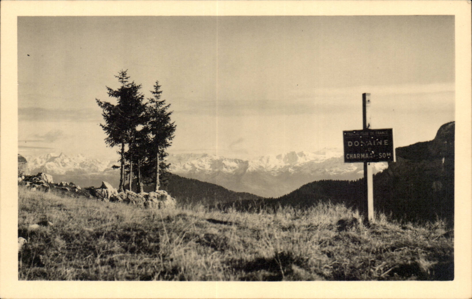 Berg von Chartreuse - CPA