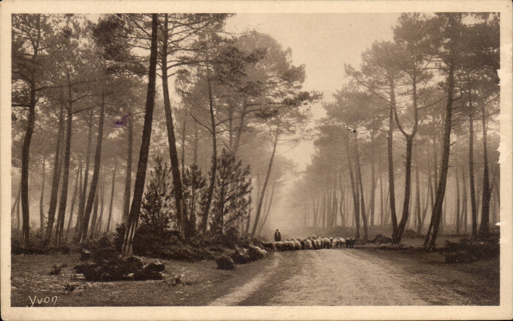 Gers - Yvon - Soft France - Moors of Gasgogne CPA