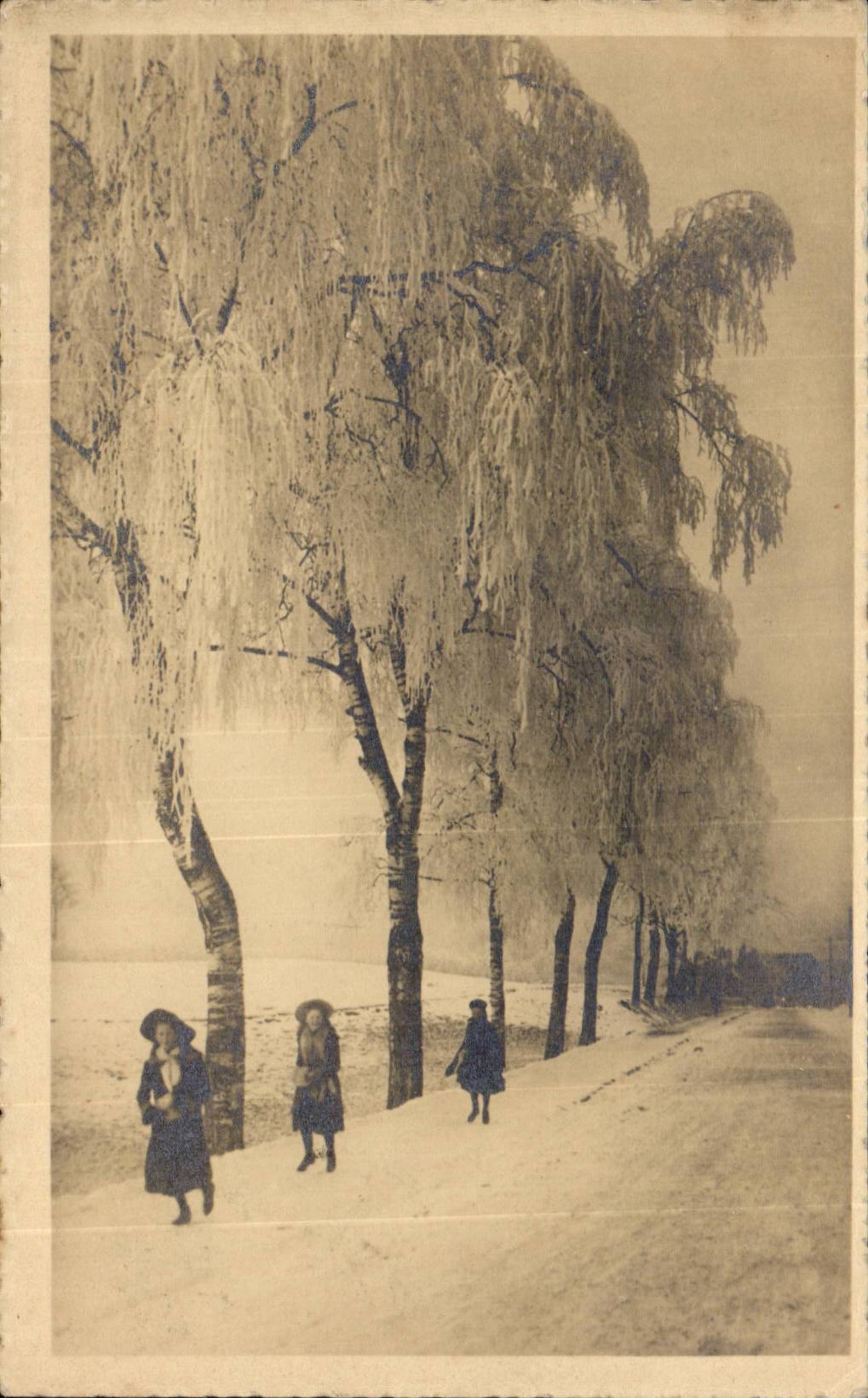 CPA Fantasy Swiss Landscape of winter