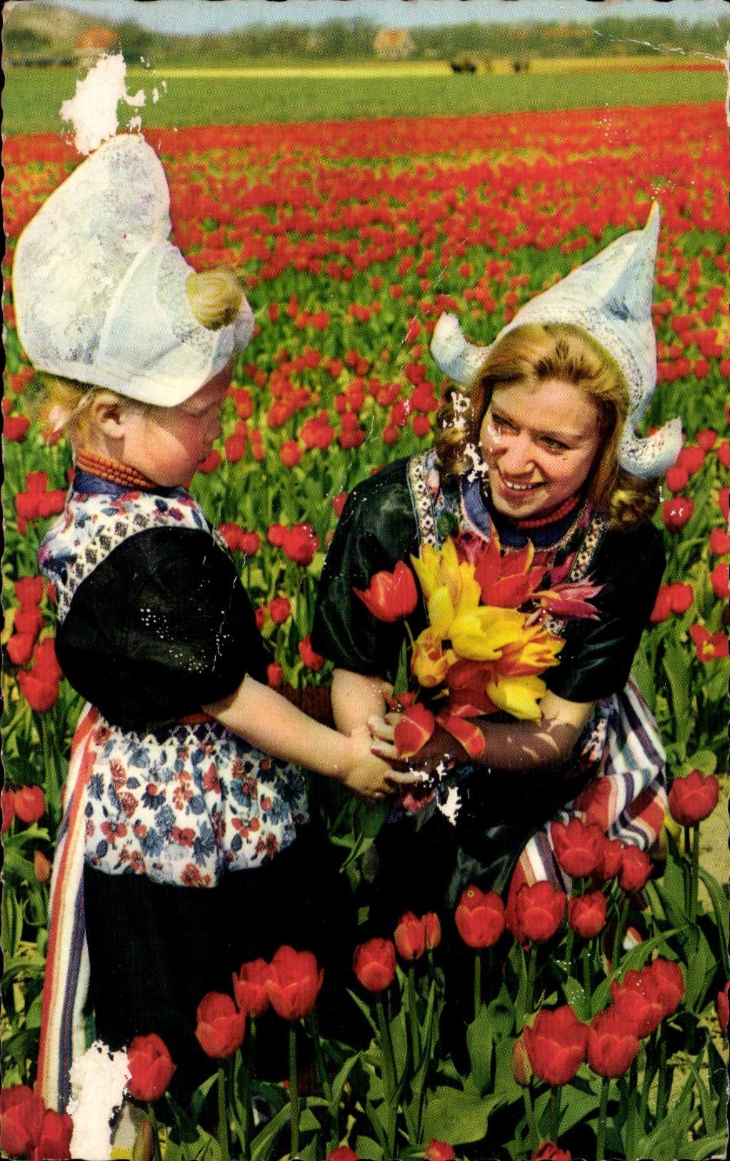 CPA Fantasy Netherlands in ornaments of flowers