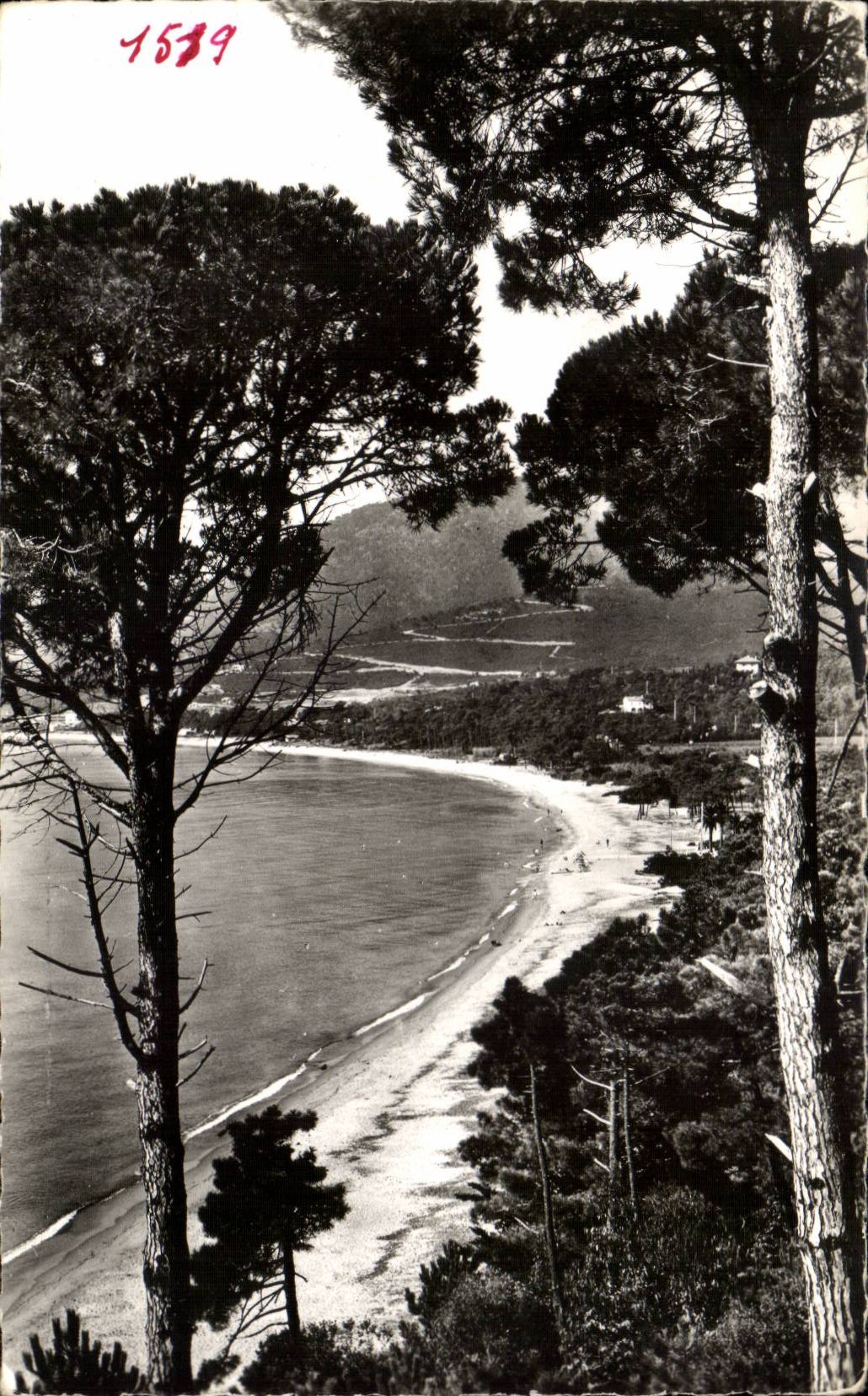 MODERN CARD Surroundings of Cavalaire on Sea the beach of PArdigon