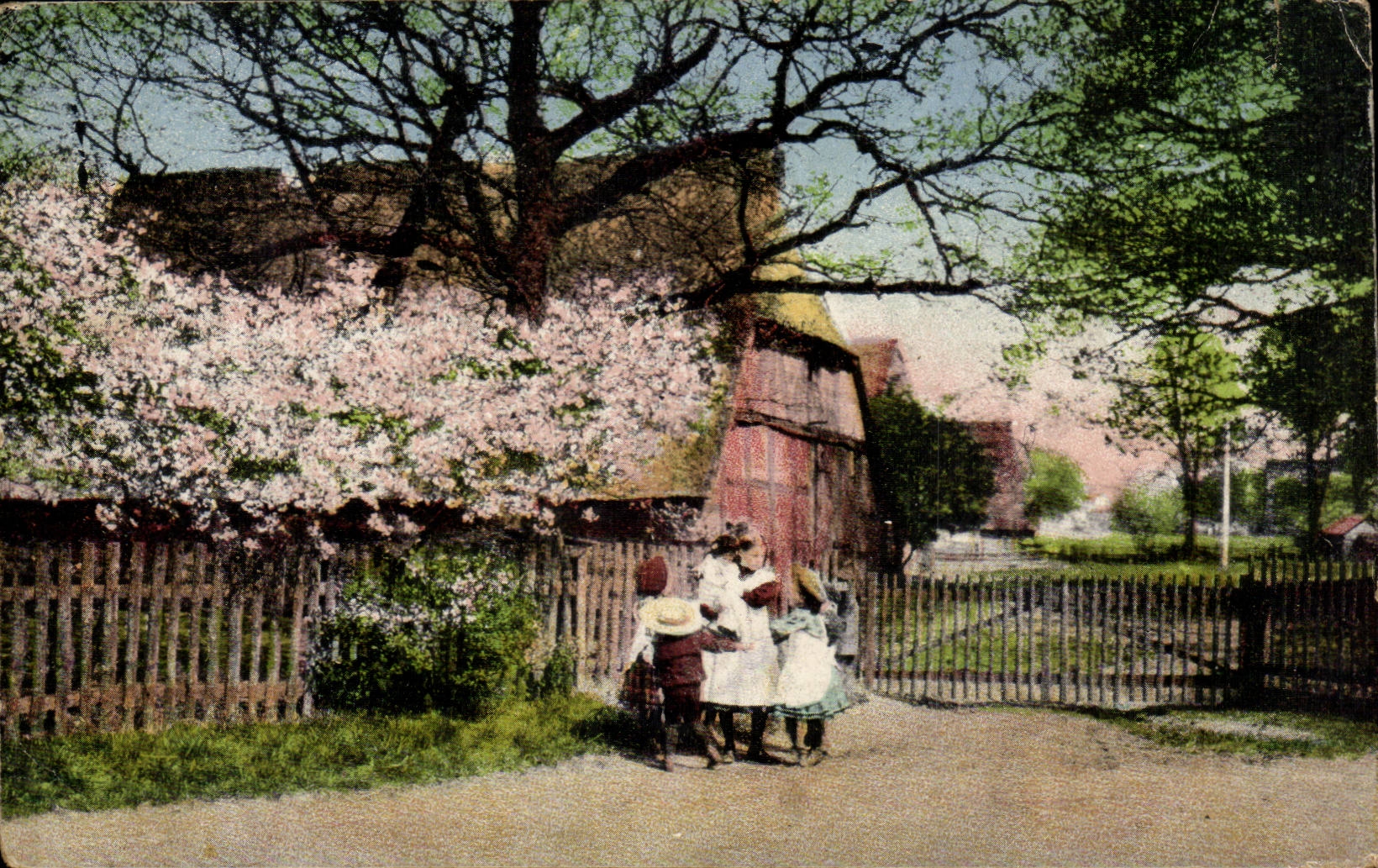 CPA Fantasy Landscape