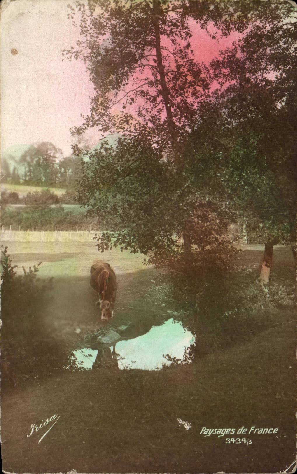 CPA Landscape of France (cow)