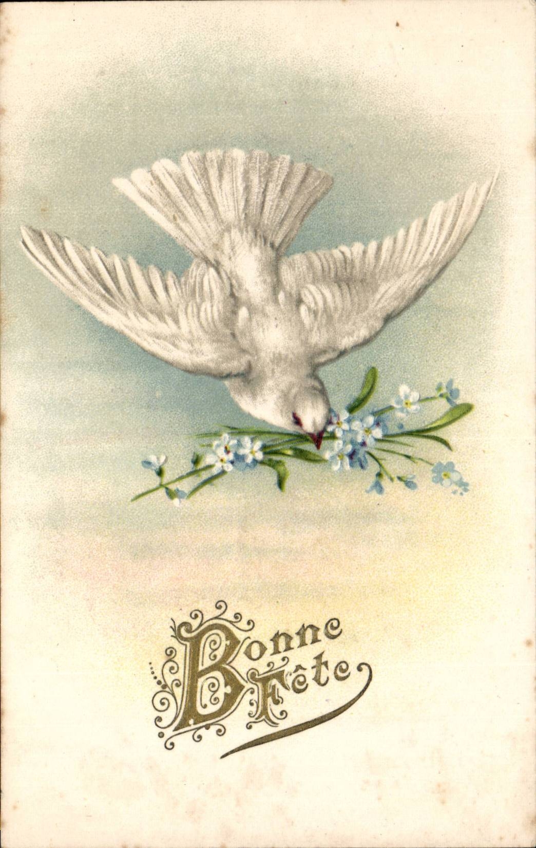 CPA Fantasy Good Dove celebrates