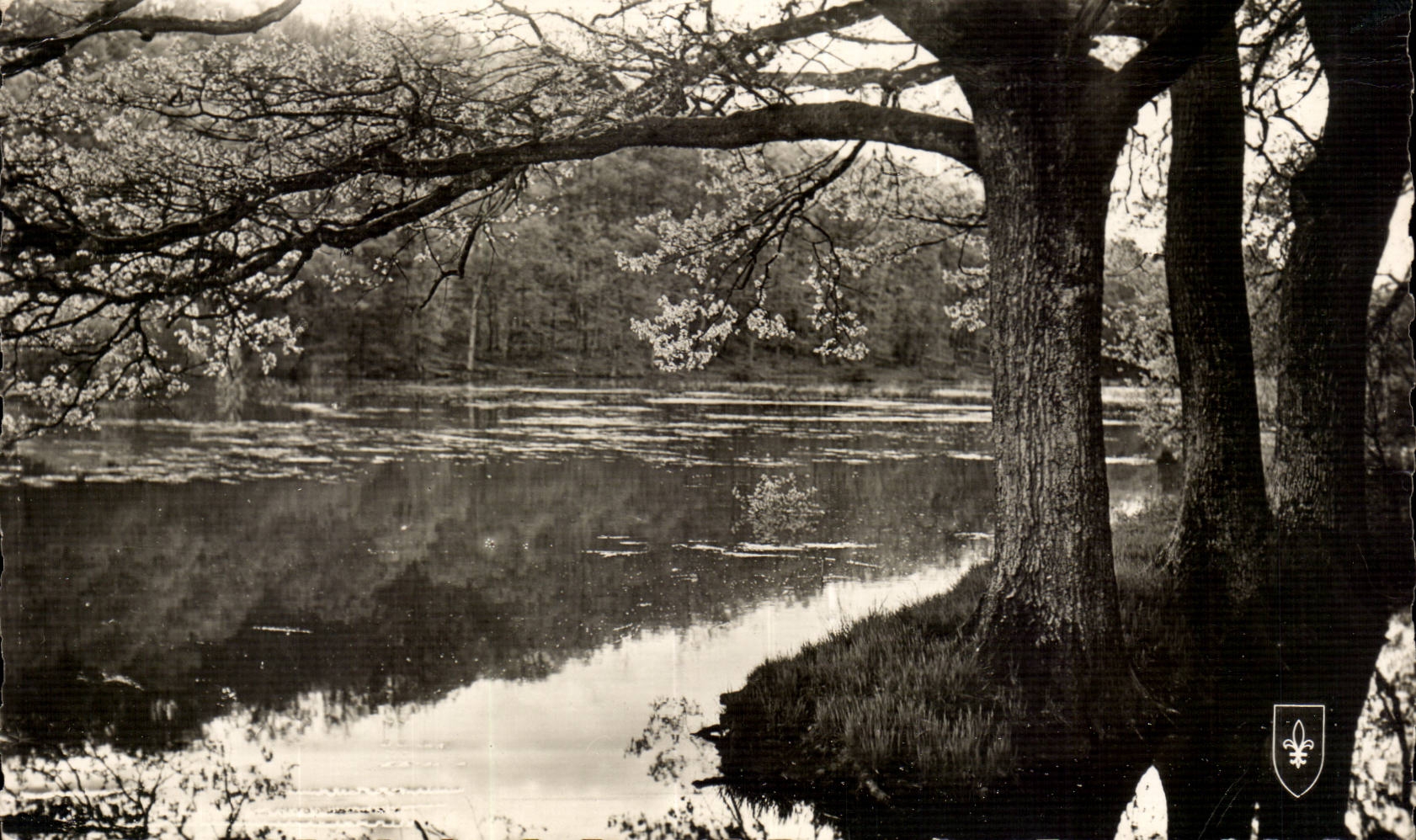 MODERN CARD Drill of Troncais pond of Piret