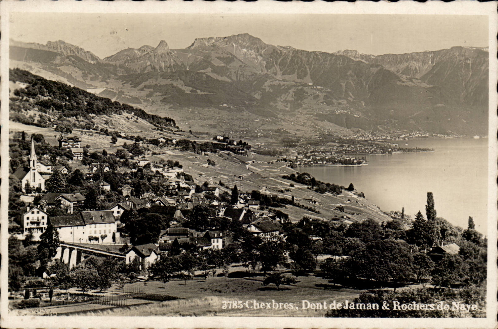 CPA Chexbres Dent de Jaman et rochers de Naye