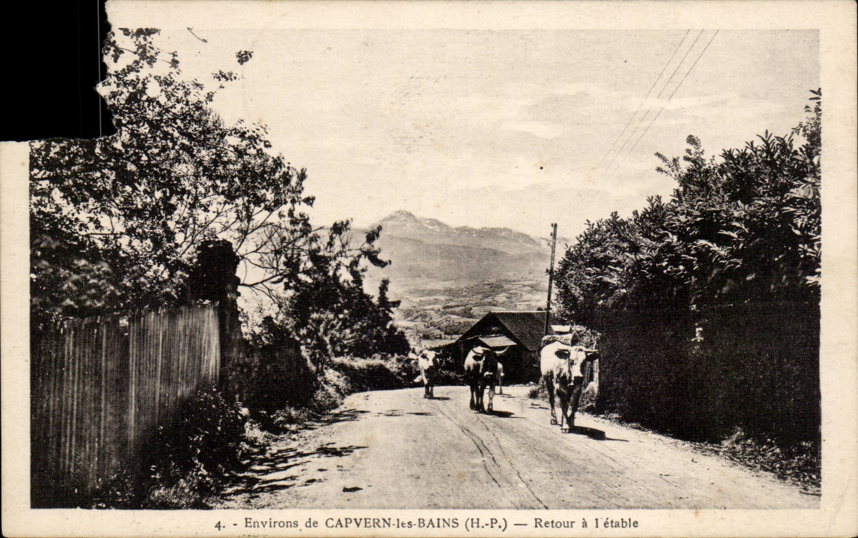 CPA Umlagerungen CApvern les Bains der Ruckkehr zum Vieh verschuttet (Rinder)