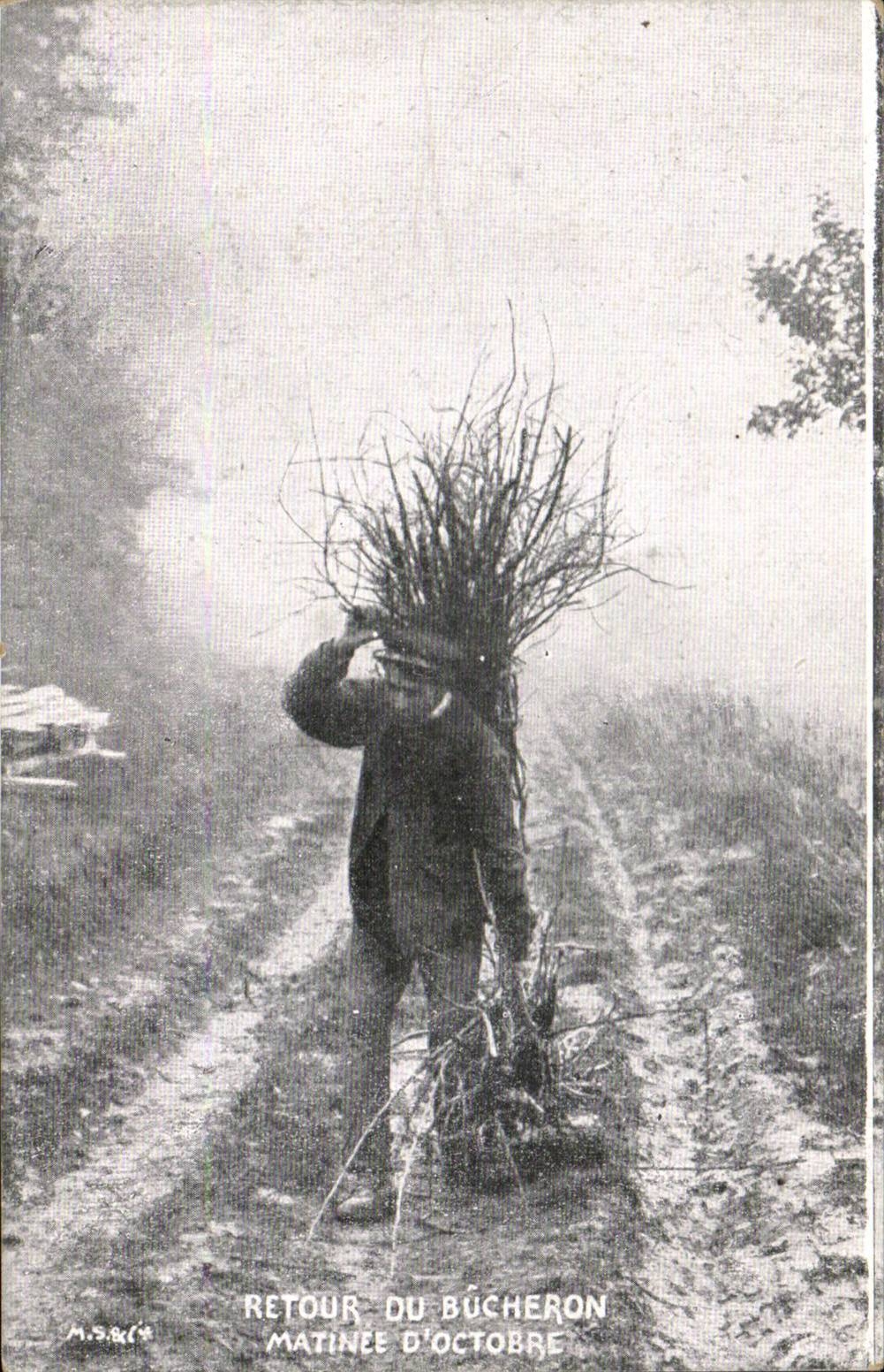 CPA Crossbred Fantasy Return of the logger of October (trade)