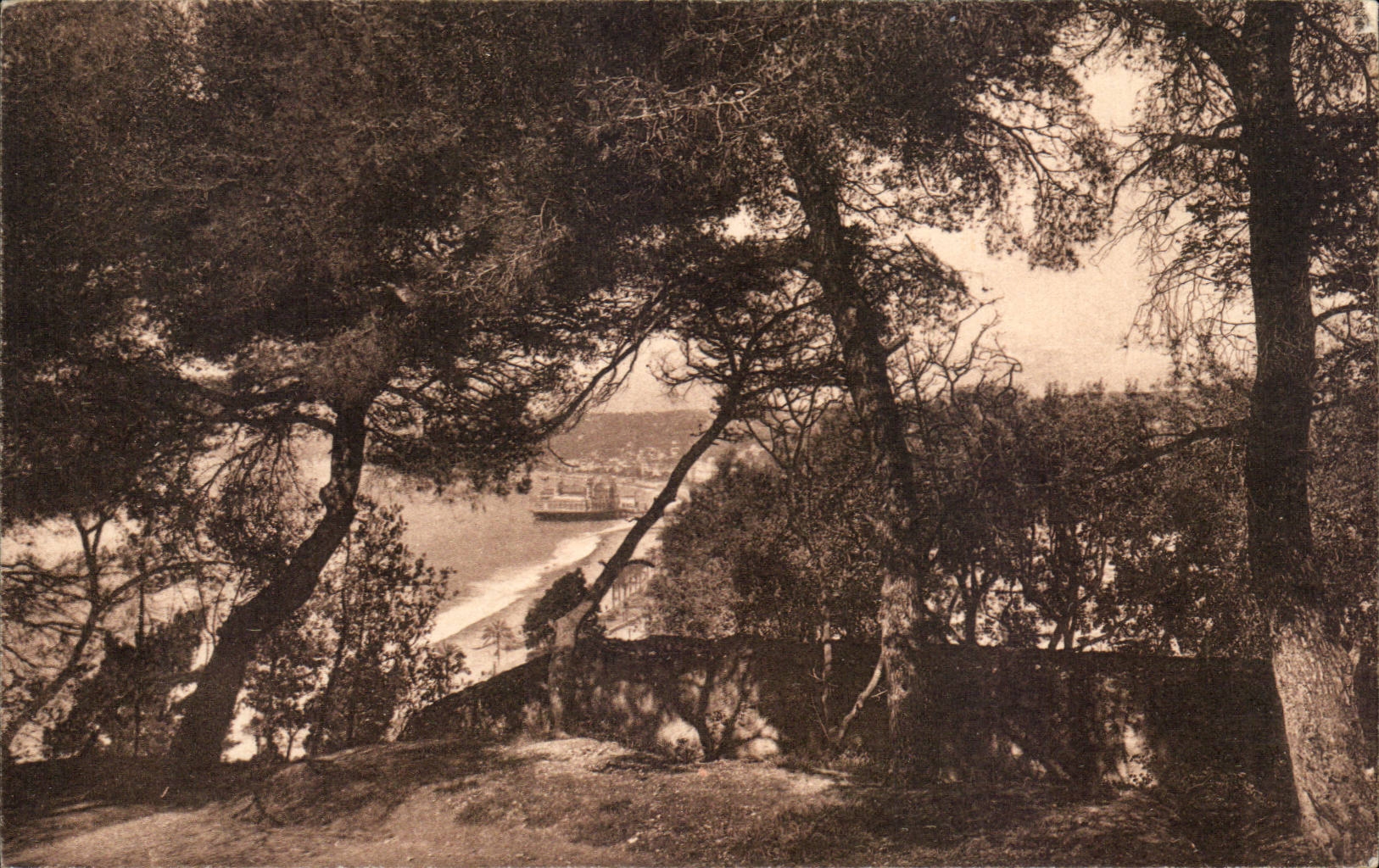 CPA Nice Seen from of the castle