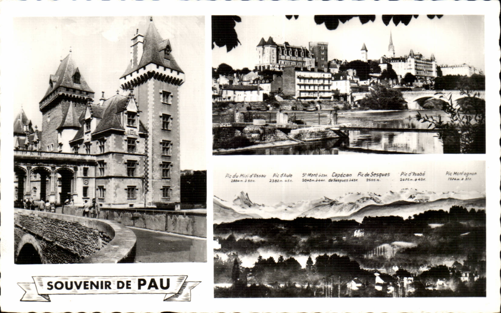 CPA Andenken von Pau